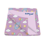 BUMTUM Baby Teddy Soft Fleece Dry Sheet Waterproof, Re-useable & Washable In Small Medirum and Large Sizes - Pack Of 1